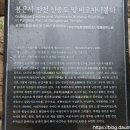 봉은사비로자나불도 이미지
