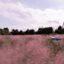 제주허브동산 이미지