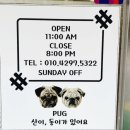 네일콤마 네이버블로그