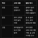 숲놀이지도사 | [어쩌다 환경인] 유아숲놀이지도사, 자연에서 뛰노는 선생님