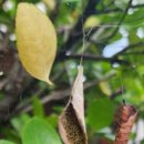 용화초등학교병설유치원 이미지