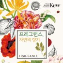 자연의향기