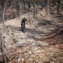 매봉힐링쉼터오토캠핑장 이미지