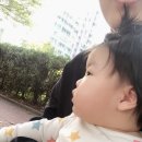 키요스크 이미지