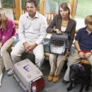 소랑동물병원 이미지