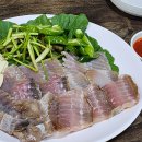 홍탁나라