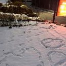 인제402펜션 이미지