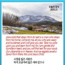 오늘의 양식