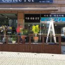 똘이펫 이미지
