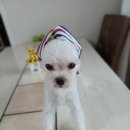 경산생활체육공원 이미지