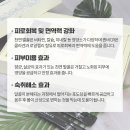 하늘아래농원