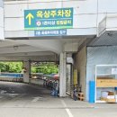 인테리어플러스 - 남양주시 다산지금로 202 | 양재꽃시장 조화매장 추천 '플러스리빙' 영업시간 인테리어 조화 쇼핑 후기