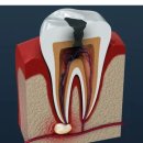 로이스서울치과의원 이미지