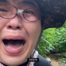 네일러비