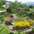 지베르니펜션 이미지