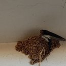 신안리마을회관 이미지