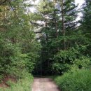 영태농장 이미지