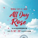 장미길코스 | 꽃길 걷고 인생샷 건지는 5월 여행지｜2025 곡성세계장미축제 후기 &amp; 코스 총정리