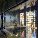 드림꽃사슴 이미지