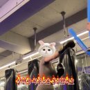 펀치박스 복싱 스튜디오 서초점 네이버블로그