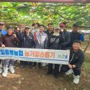 농산물산지유통센터 | 성산일출봉농협 농산물산지유통센터, 지역 키위 농가 찾아 봄철 일손돕기 봉사 실시 [2025. 5. 3 토]