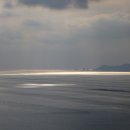 솔봉농장 이미지