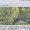 민디테일 이미지