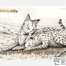 신혁농장 Daum카페