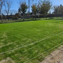 오천그린광장 이미지