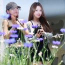 쥴리고 이미지