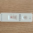 마두이비인후과의원 | [일상] 백신 미접종자 코로나 감염 후기, 신속항원검사 무료 대상