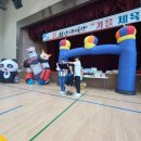 최강국가대표태권도 이미지