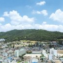 우암산순환로 이미지