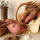 상한농장 이미지