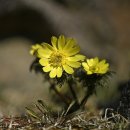 상생과 공존 이미지