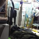 서해세탁소 이미지