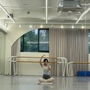 더시티발레학원 | 합정 더시티 발레학원 vs 홍대 시그니처 발레학원 후기(내돈내발)
