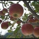 박달농원 이미지