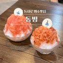 동빙 | 대구 동성로 빙수 맛집 | 동빙 토마토 빙수와 자두 빙수 후기
