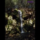 더쎄븐렌트카 - 제주시 오일장서길 68 | 더쎄븐렌트카
