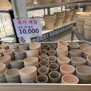 (주)삼일에코스텍 | 2026 이천 도자기 축제 후기, 주차 도자기 화분 구매 완!