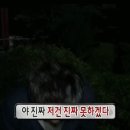 무한도전 고백 이미지