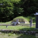 이종무장군대마도정벌 이미지