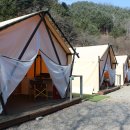 강촌관광농원 이미지