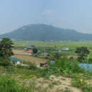 강화바다 이미지