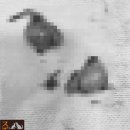 견우동물병원 이미지