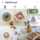 소담하개 이미지