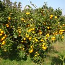 양생한의원 이미지