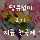 땡큐미 - 김해시 | 땡큐미