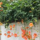 햇살한스푼 이미지